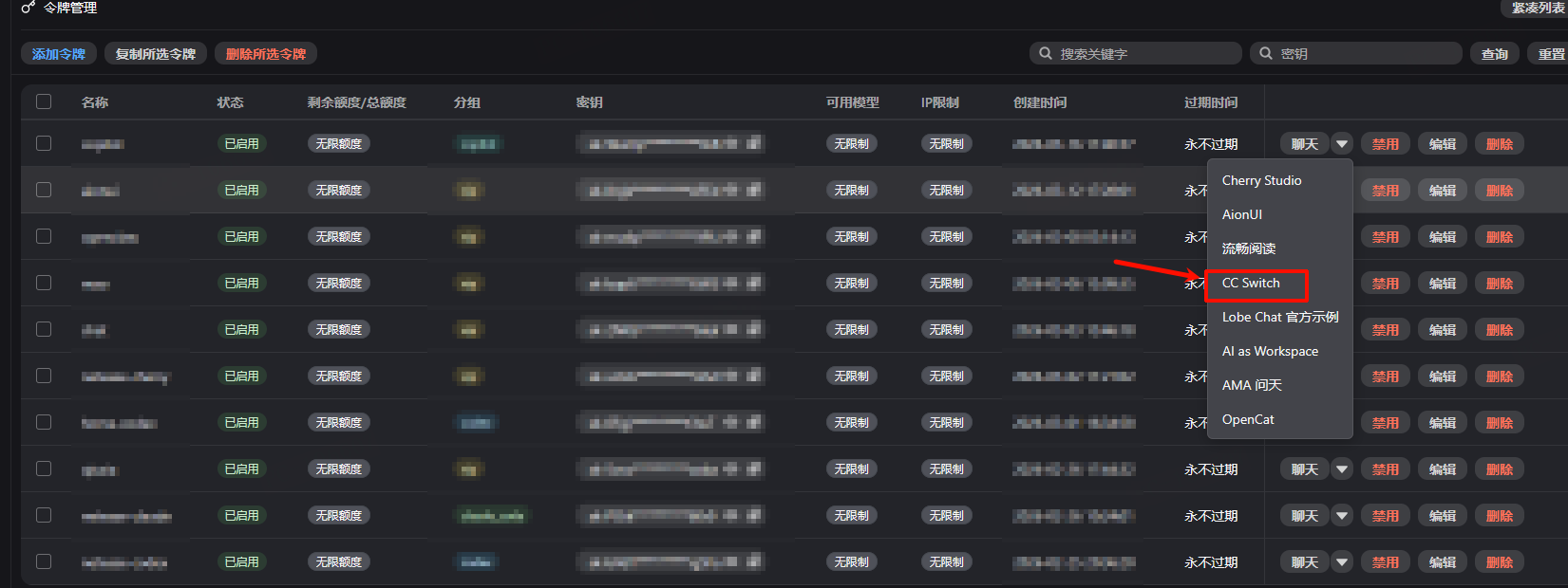 在令牌模板中选择 CC Switch