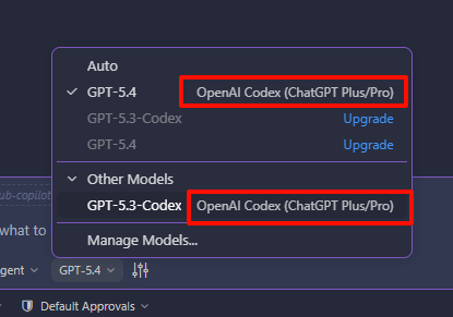 在聊天模型选择器中看到新 Provider