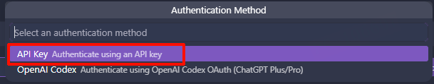 选择 API Key 认证